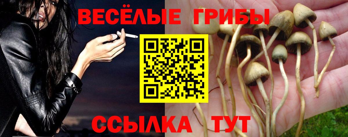 Псилоцибиновые грибы ЛСД  Вход с VPN  Кулебаки 