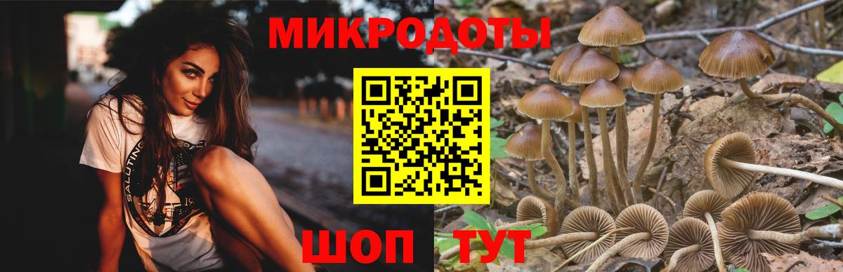 Галлюциногенные грибы мицелий Кулебаки